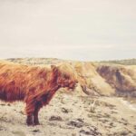 Der Einfluss von E-Sports auf die Jugendkultur