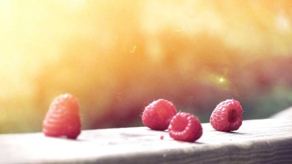 Die besten Gaming-Events, die man nicht verpassen sollte