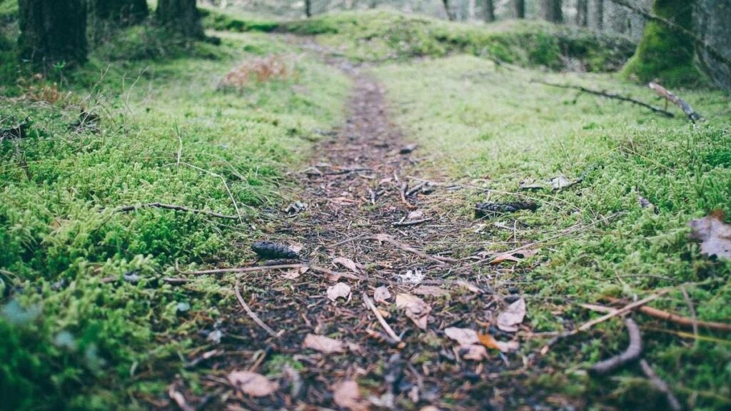 Die besten Spiele für E-Sports-Einsteiger