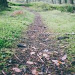 Die besten Spiele für E-Sports-Einsteiger