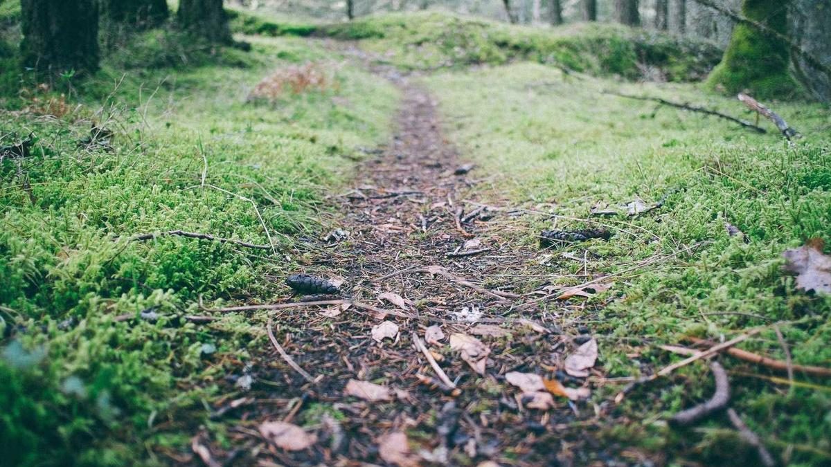 Die besten Spiele für E-Sports-Einsteiger