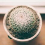 Die Geschichte der bekanntesten E-Sports-Teams