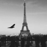 Die Herausforderungen für E-Sportler im Wettkampf