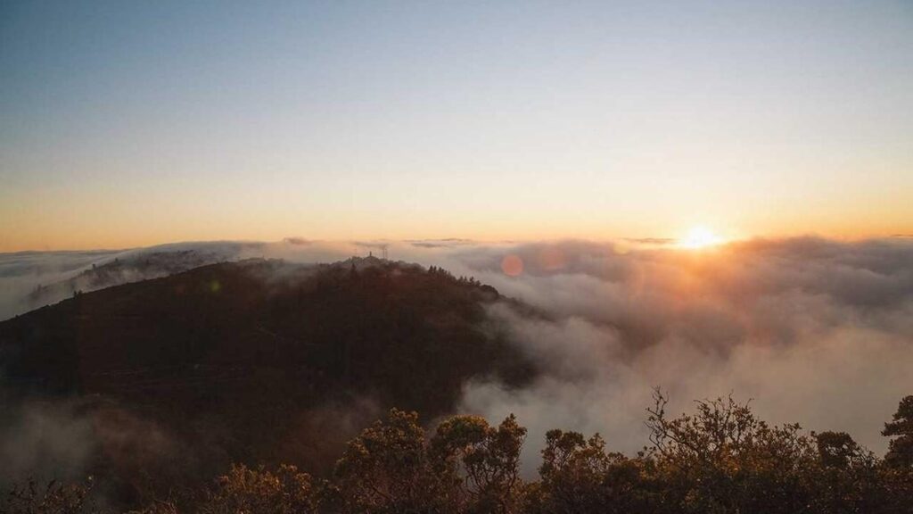 Die kulturellen Einflüsse von Gaming auf die Gesellschaft