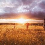 Die Rolle von Streaming-Plattformen im E-Sports-Bereich