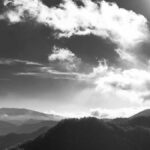 Die sozialen Aspekte des Gamings: Freundschaften und Rivalitäten