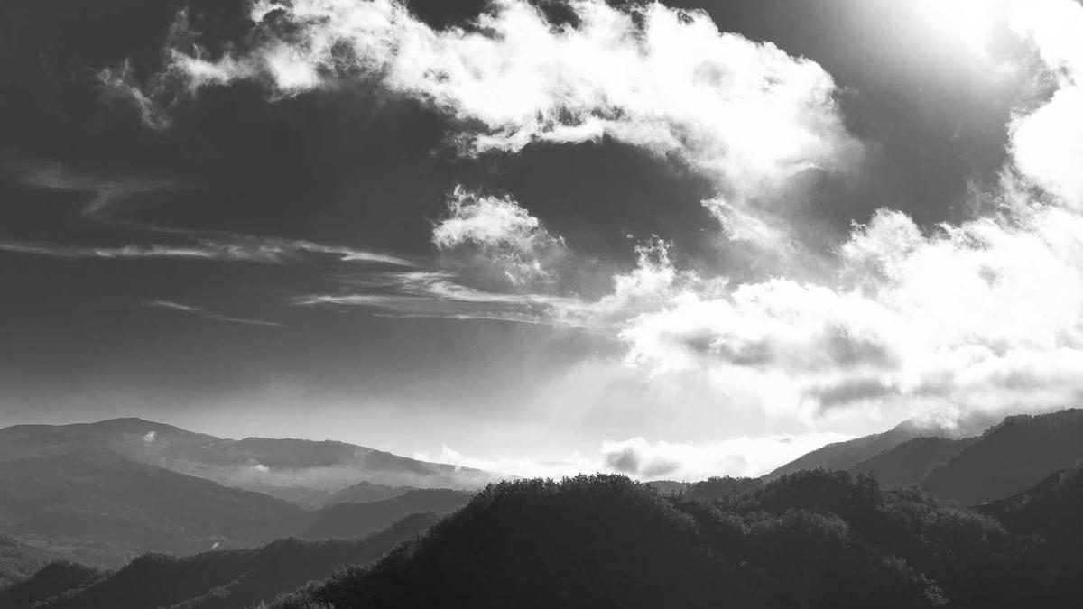 Die sozialen Aspekte des Gamings: Freundschaften und Rivalitäten