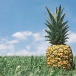 Die Zukunft des E-Sports: Trends und Prognosen