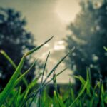 E-Sports und Sponsoring: Eine lukrative Partnerschaft