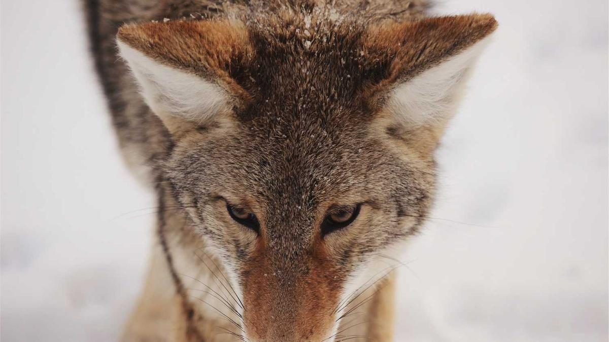 Wie können Eltern ihre Kinder beim Gaming unterstützen?
