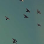 Wie man die richtige Spielstrategie entwickelt