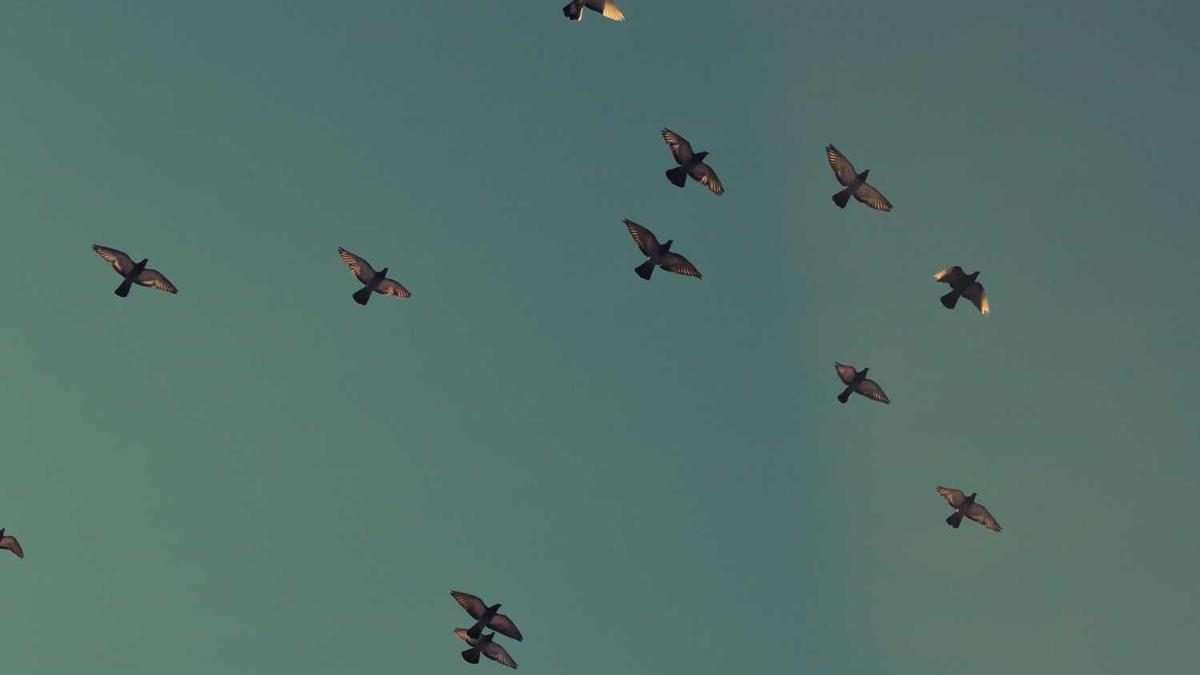 Wie man die richtige Spielstrategie entwickelt